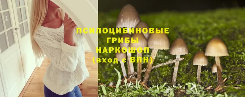 Галлюциногенные грибы Cubensis  как найти закладки  Стерлитамак 